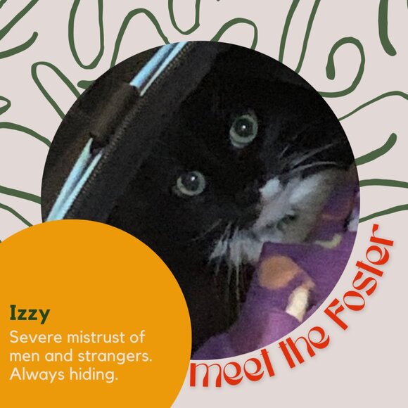 Meet the fosters! - Picture 12 of 15